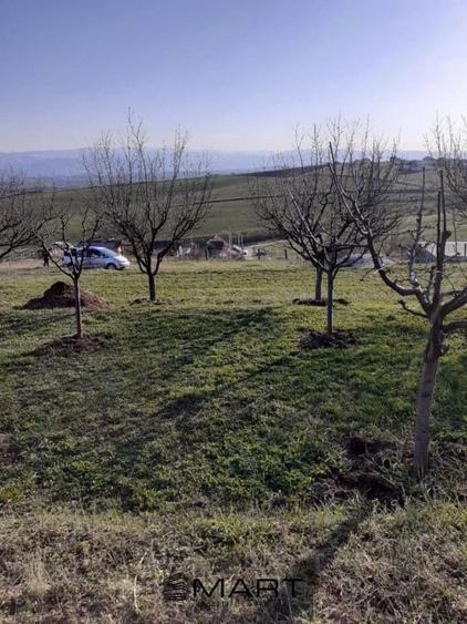 Teren intravilan Sura Mare 550mp - 3