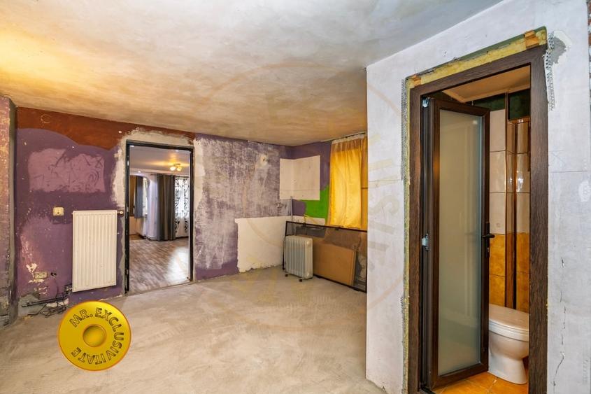 Doua case in aceeasi curte Pitesti, Strada Turcesti - 13