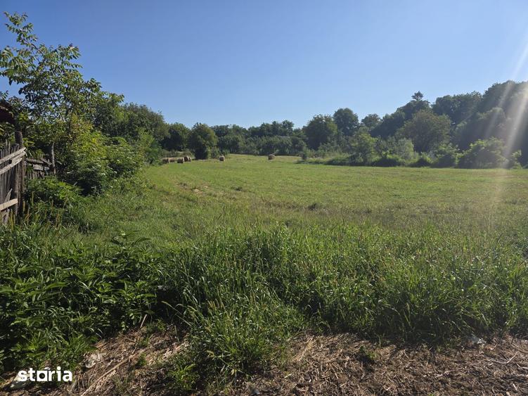 Teren de 3800 mp, în Țițești