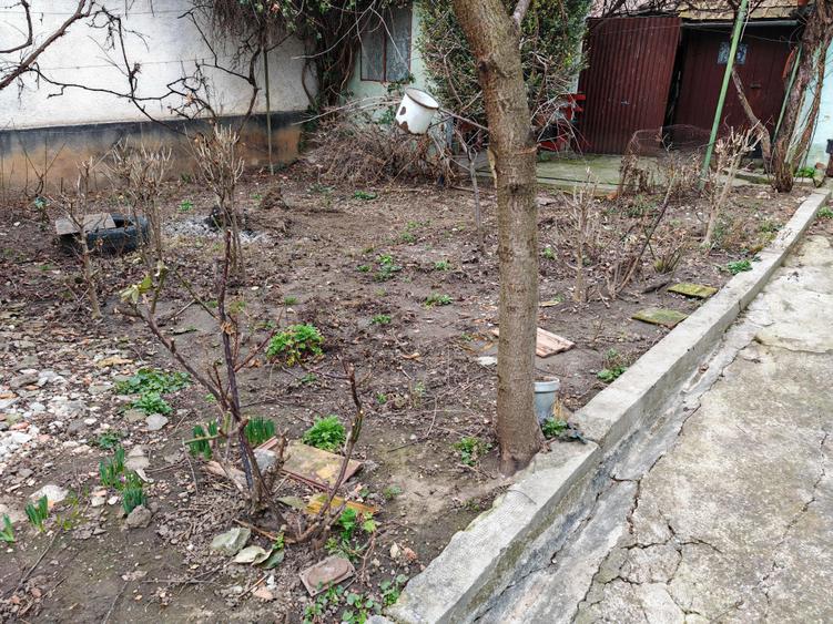 Casă individuală cu 5 camere cu Canalizare în Griviței