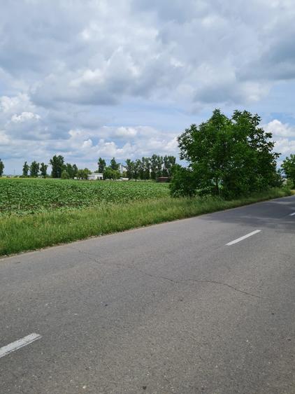 Teren Construcții intravilan de 769 mp, în Comana