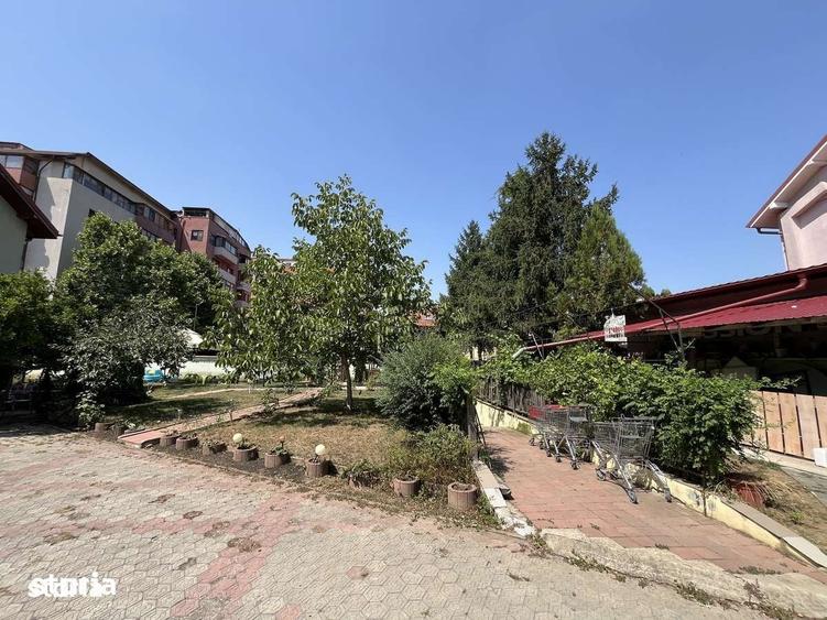 Teren de 3535 mp, în Valea Oltului