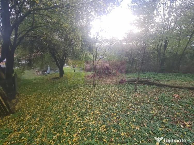 Casă cu 3 camere cu Teren 3410 Mp în Aluniș