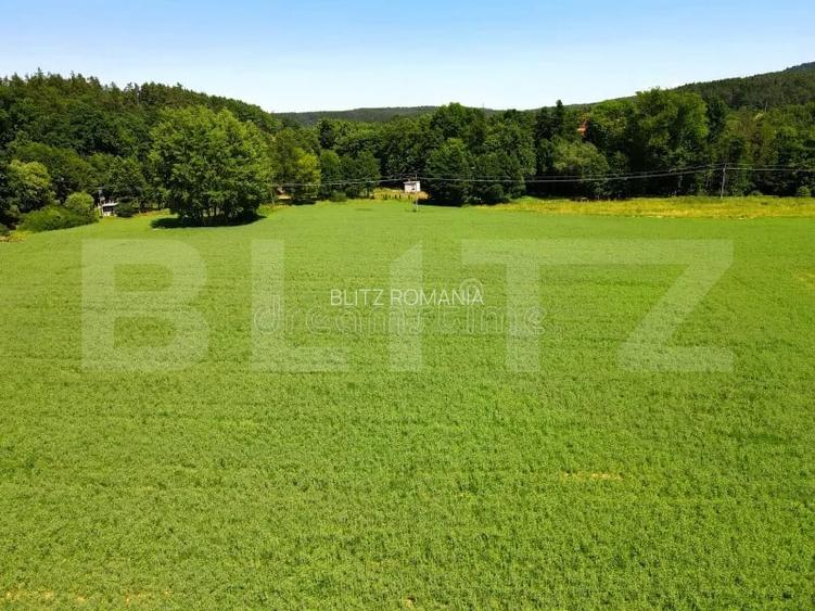 Teren la asfalt , 620 mp, in Viticultori