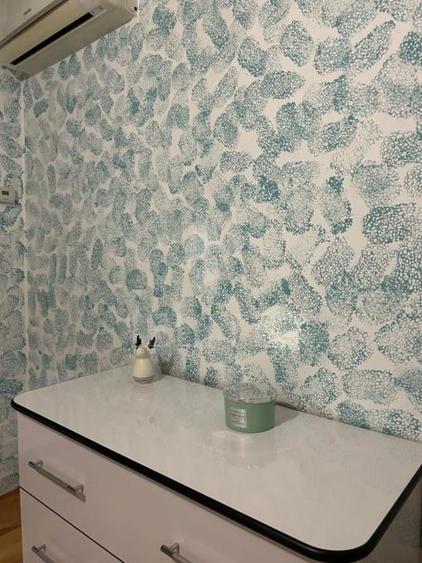 Apartament 2 camere în zona GRIGORE ALEXANDRESCU - 3