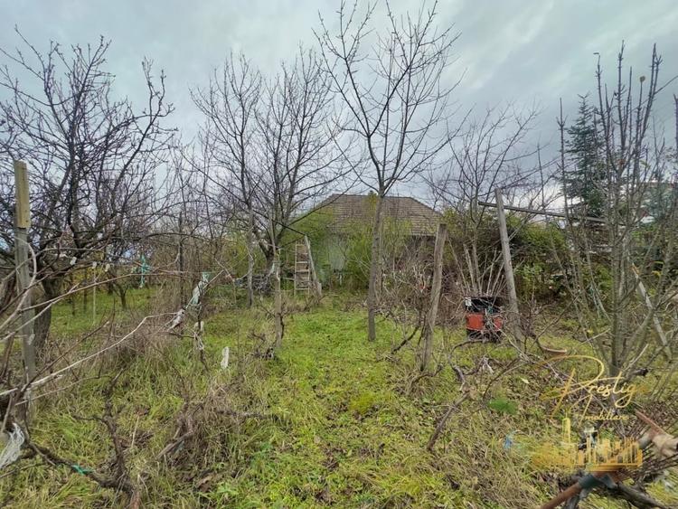 Casa P+M si teren de 1200 mp de vanzare in Uileacu de Munte - Bihor - 22
