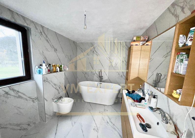 CASA 5 CAMERE 252 MP TEREN 1362 MP DRAGOSLAVELE ARGE? - 16