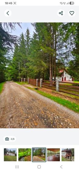 Vand casa de vacantă Dealu Negru, Călățele pădure. - 5