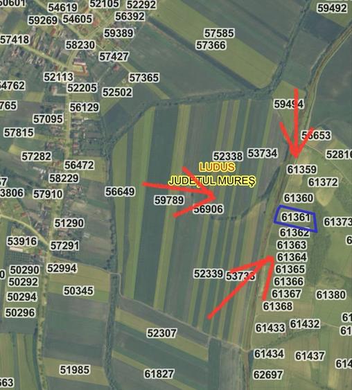 Teren 5.800mp extravilan Ludus/Rosiori - 2