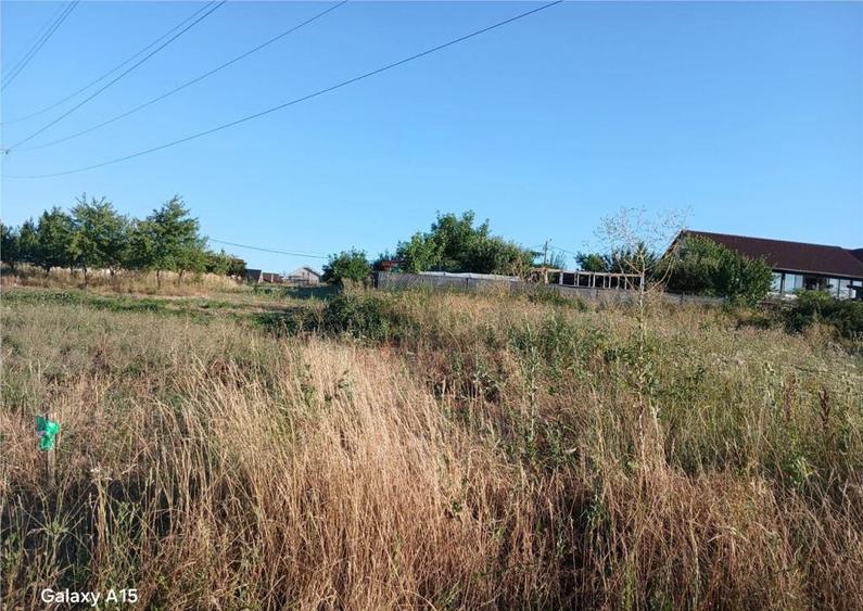 RECO Teren intravilan Sanmartin - 3