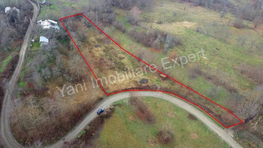 Teren de vanzare in comuna Valea Iasului, jude? Arge?. - 5