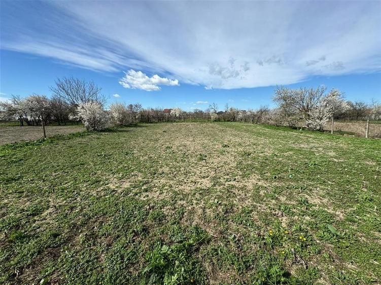 Casa noua de vanzare in Vulturu - Hângulesti 89.000 Euro - 30