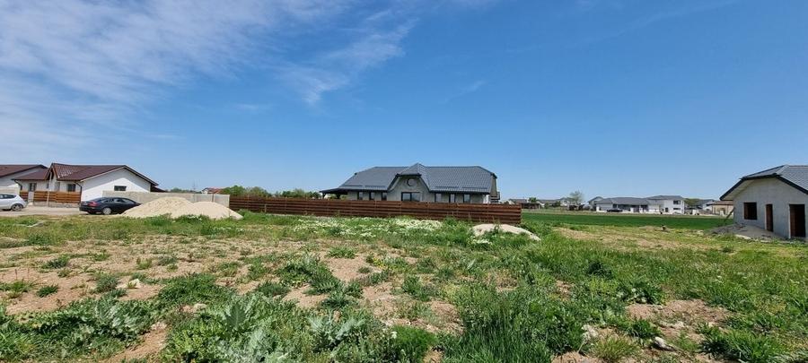 Crevedia terenuri parcelate Samurcasi - 8