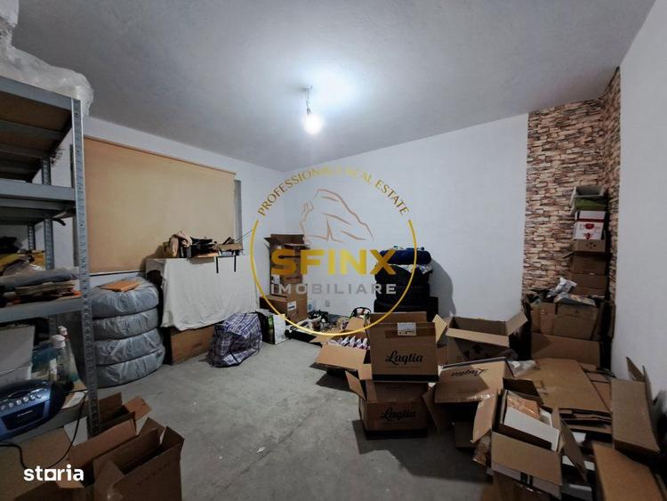 Hale de inchiriat Doamna Ghica, Baicului, ideal depozitare - 3