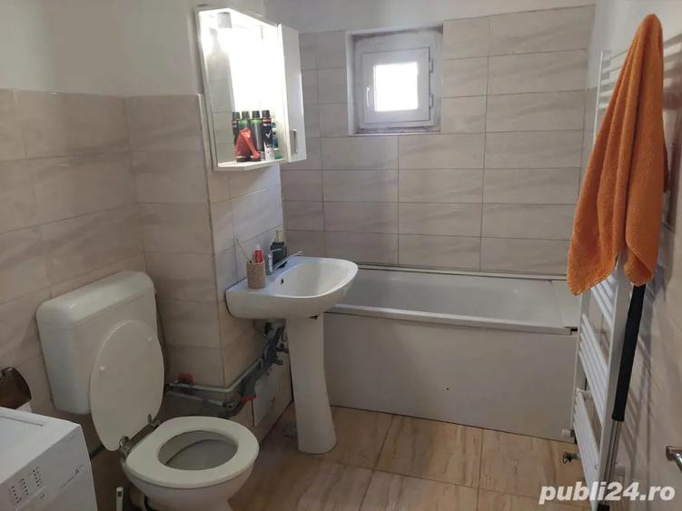 Apartament Buzias - 6