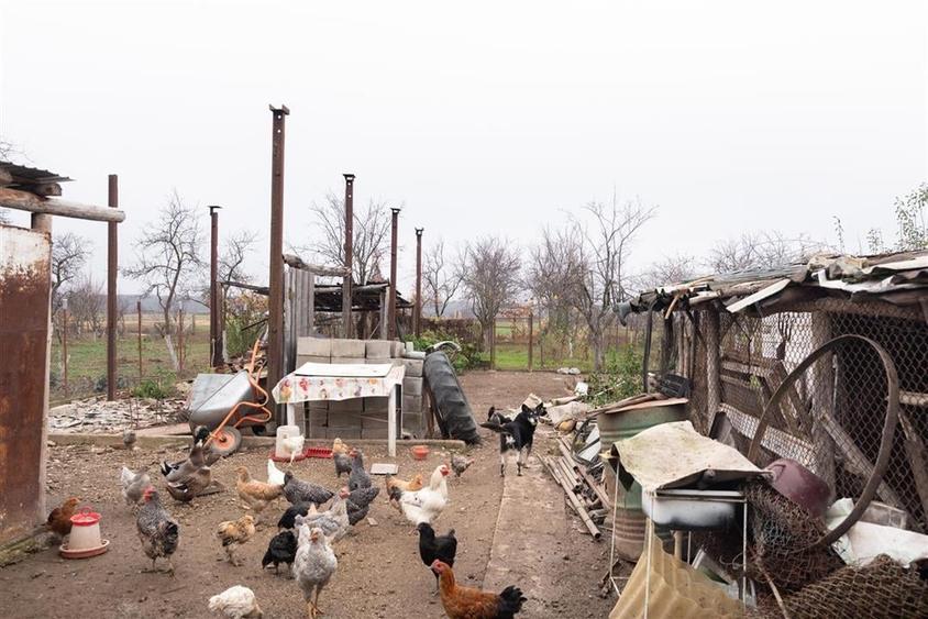 RECO Casa de vanzare in Felcheriu - 27