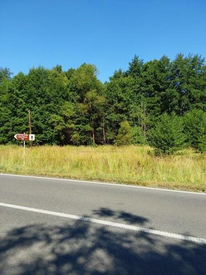 TEREN INTRAVILAN &Icirc;N MARGA-LA DN68 JUD.CARAȘ-SEVERIN - 1