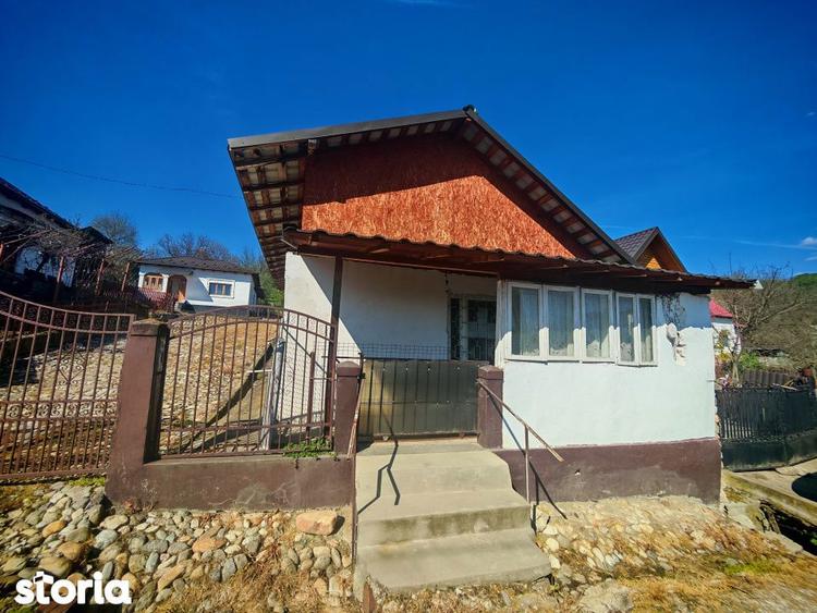 2 Case + teren 3233 mp Darmanesti Arges - 12