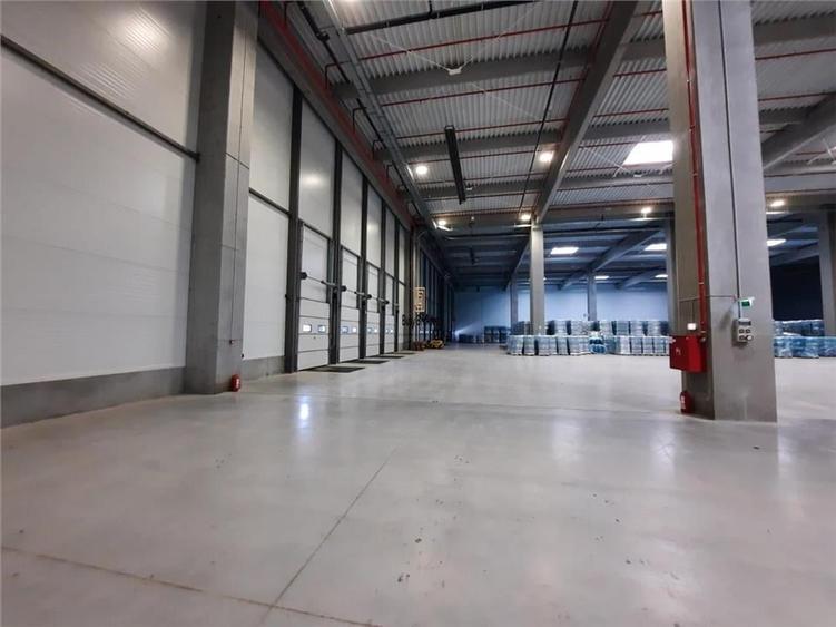 Spatiu Industrial - 5300 mp - Logistica - Productie - Depozitare - Distributie - 10