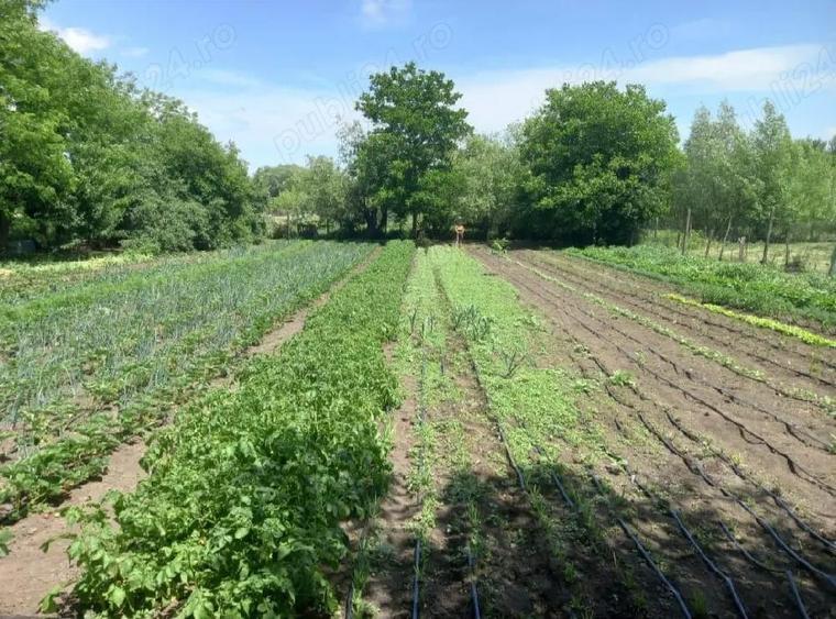 Vand casa in zboiu - 1