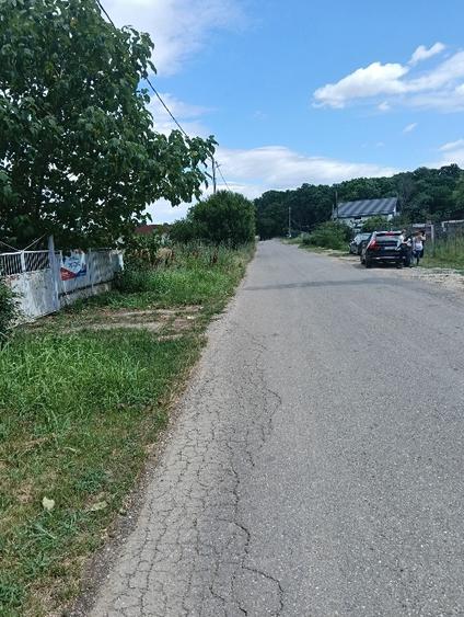 Teren lipia Ilfov intravilan lângă pădure 4400mp - 4