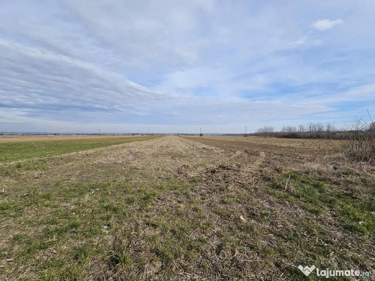 Teren intravilan - 1