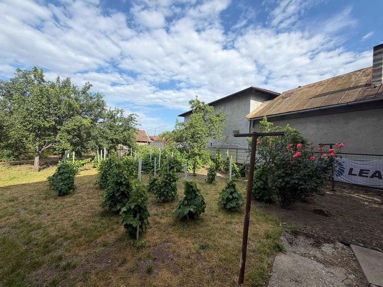 Casa P+1 cu teren 500 mp, garaj subteran si toate utilitatile Strada Traian, Carei 0 % comision - 4