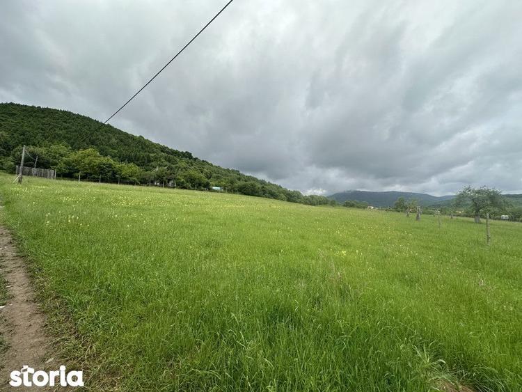 Teren cu priveliste deosebita, 2000mp in Fantanele - 2