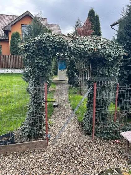 Casa in zona 7 Noiembrie Ideala pentru locuin?a sau business - 6