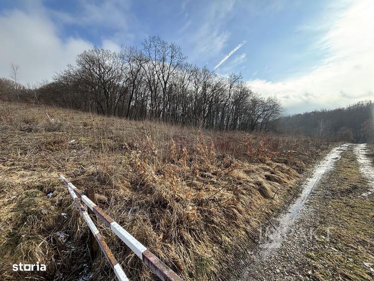 De vanzare doua parcele de 3752 mp impreuna- zona Faget - 1
