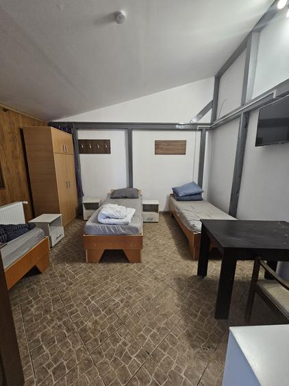 Proprietate speciala Dumbravita - casa individuala !! - 15