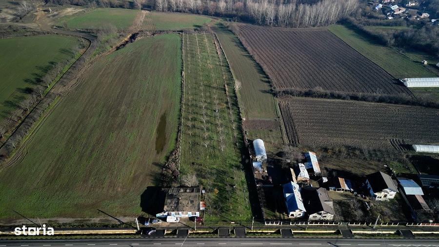 Vanzare teren 9654 mp, deschidere 27m, comuna Dobra, sat Dobra - 7