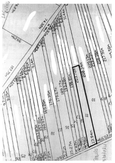 Teren de Vanzare langa Lacul Cernica - 2
