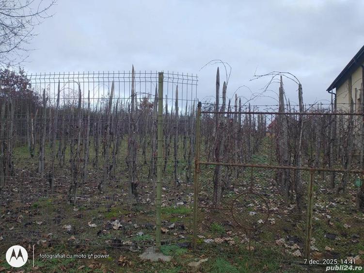 20.500 E Tautii Magherausi 5 ari jumate loc perfect de casa,toate utilitatile - 1