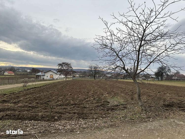 Teren intravilan in Mitocasi - 6