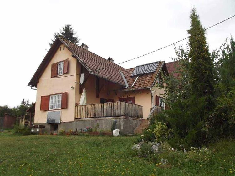 Casa de vacanta Izvorul Muresului - 8