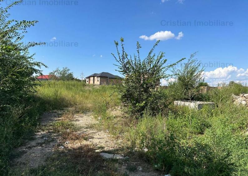 1073mp cu 25m deschidere Radu Negru Buzaului 121Euro/ mp - 3