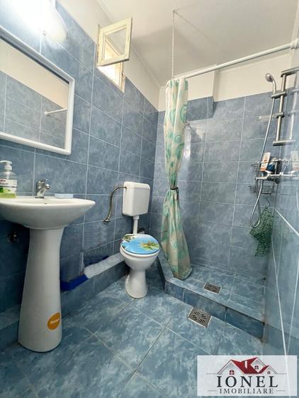 Casa de vanzare in Ighiu- Bucerdea Vinoasa - 7