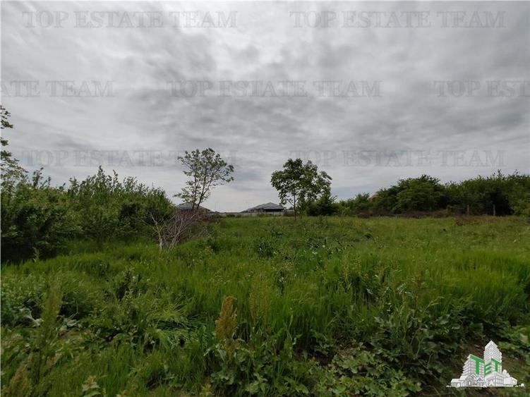 Teren Balotesti - Central - 1