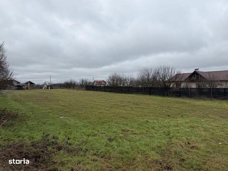 Teren de Vanzare Gradistea Sitaru - 8