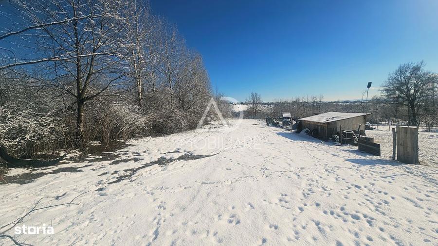 Teren de vanzare Novaci-Ranca - 2