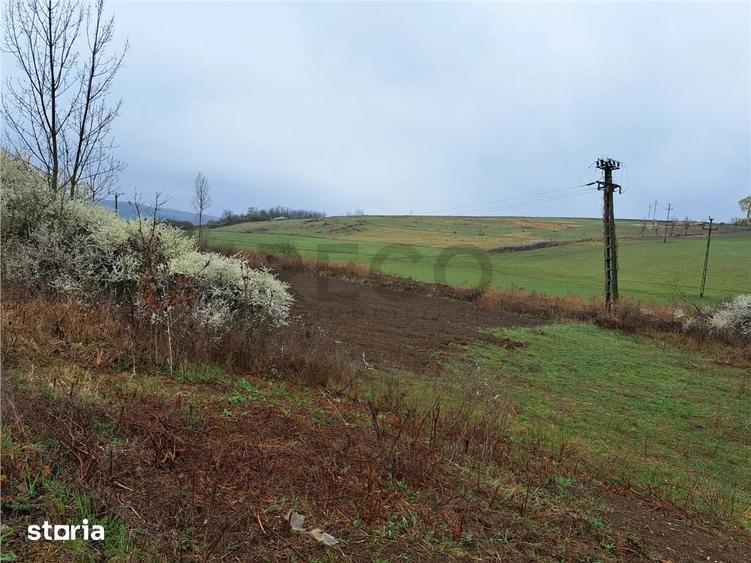Teren de 10000 mp, în Viișoara