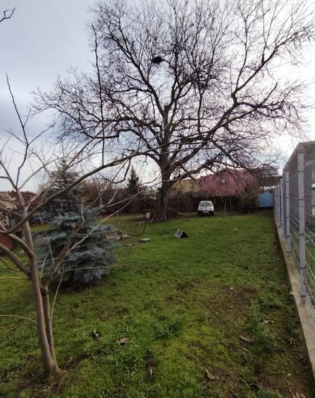 Teren de vanzare - 7