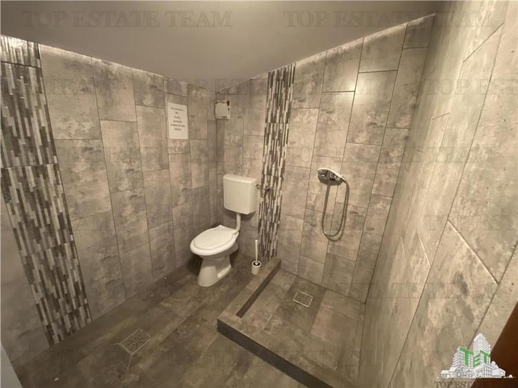 Spatiu comercial, birouri, depozitare de inchiriat in Doamna Ghica - 14