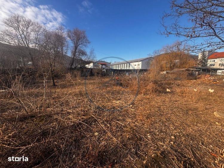 Teren + Cladire in Viisoara - 5