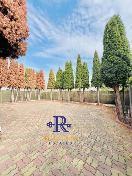 Comision 0! Cladire moderna pentru business, P+2E, parcari incluse, zona de top - 4