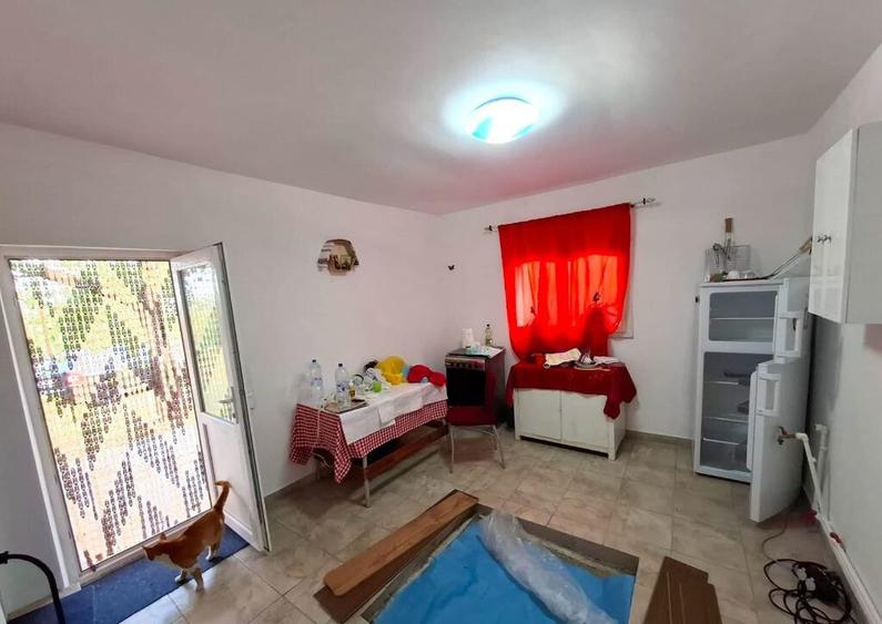 Casa si teren de vanzare Blidari - Cotesti - 3