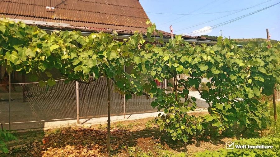 Vanzare casa la 10 km de Dej, Comuna Catcau, teren 1400 mp - 6