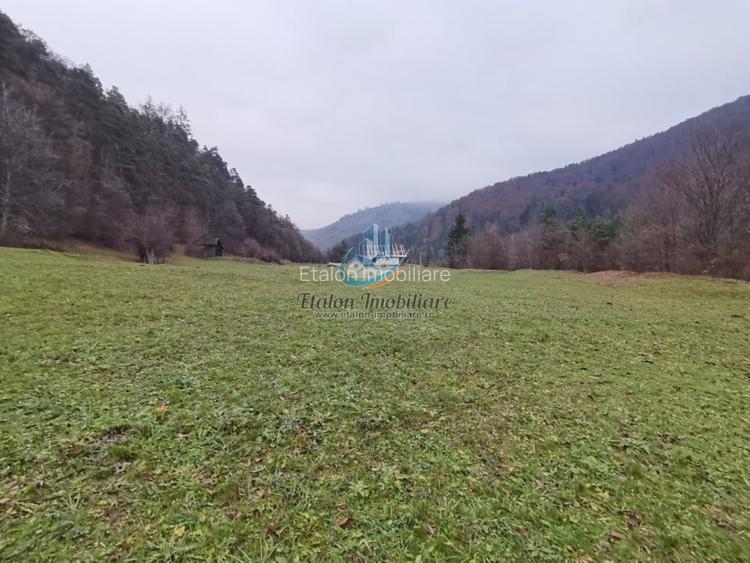 Teren Straja - Pangarati 3560 m, zona de Pensiune