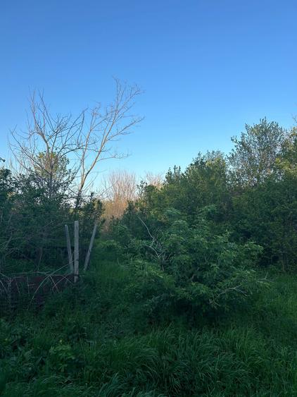 Teren vanzare Dumitresti, Judetul Olt - 5